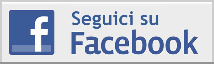 42-42-seguici_su_facebook_logo